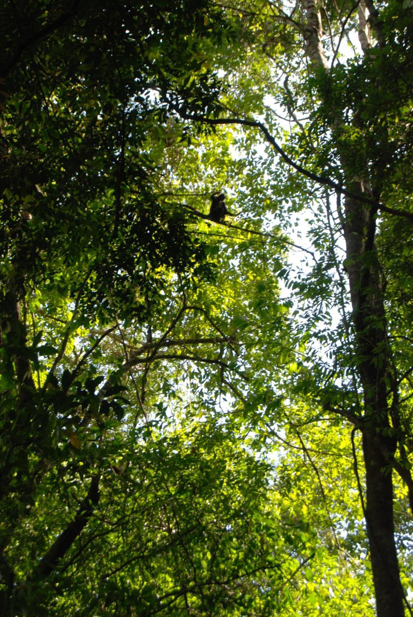 Finca Vallescondido El Caobano Exteriér fotografie